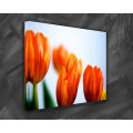 100% Polyester Inkjet Canvas Print Flower Oil Painting